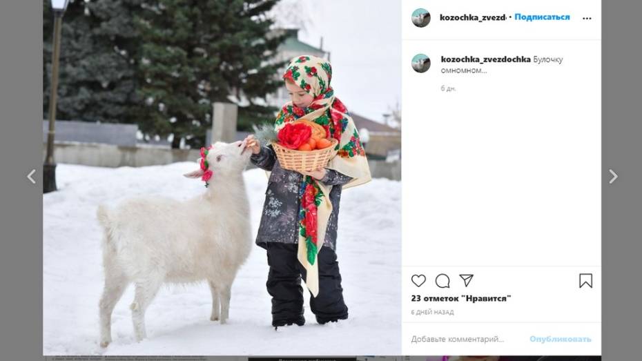 У козы из Воронежской области появилась своя страница в Instagram
