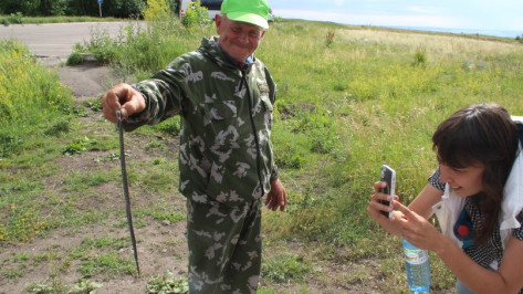 Спасатели предупредили об активности змей в Воронежской области