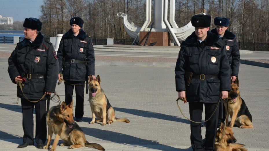 Полицейская собака нашла вора по следам под Воронежем