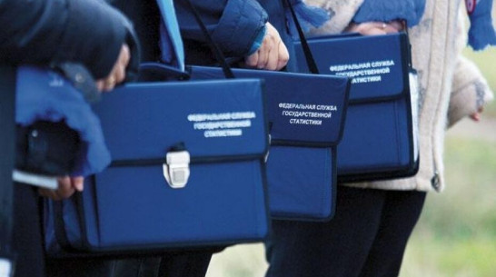 Воронежских переписчиков будут ежедневно проверять на коронавирус