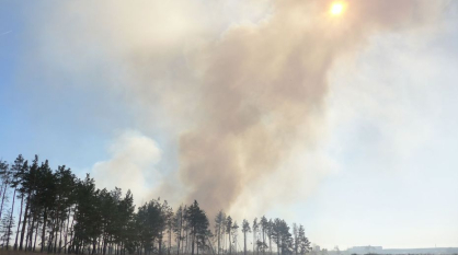 Высокий уровень пожарной опасности установили в 13 районах Воронежской области