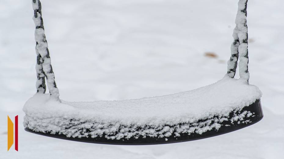 За ночь снежный покров в Воронеже достиг 2 см