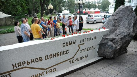 Участники исторической лекции в Воронеже собрали деньги на доску летчику Цветкову