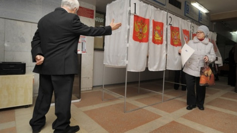 Воронежцы не против двухтуровой системы выборов мэра