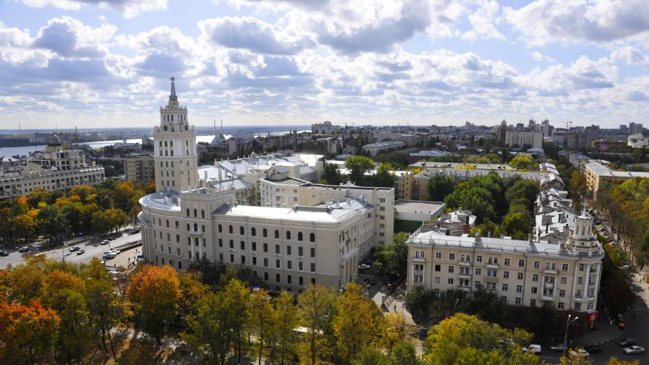 Новую технологию VoWiFi запустил билайн в Воронежской области