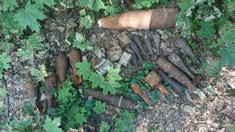 В Острогожском районе уничтожили 23 боеприпаса времен ВОВ