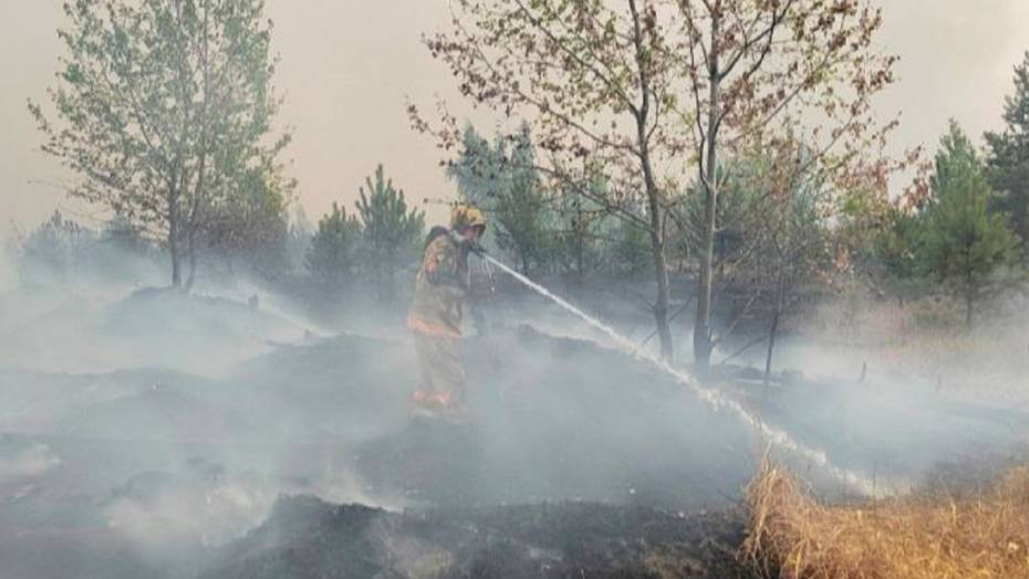 В Воронеже локализовали пожар в Семилукских Выселках на площади 120 га