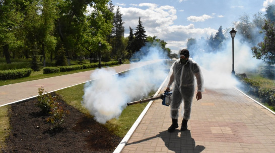 В Павловске общественные территории обработали от комаров