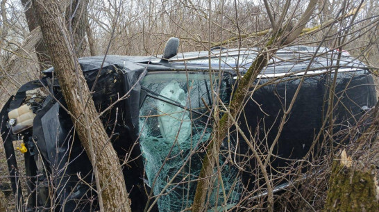 Под Воронежем Ford вылетел в кювет: пострадали женщина и 8-месячная девочка