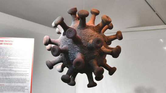 Общее число заразившихся COVID-19 воронежцев приблизилось к 120 тыс