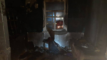 В Воронежской области на пожаре погибли 56-летняя хозяйка дома и ее 69-летний знакомый