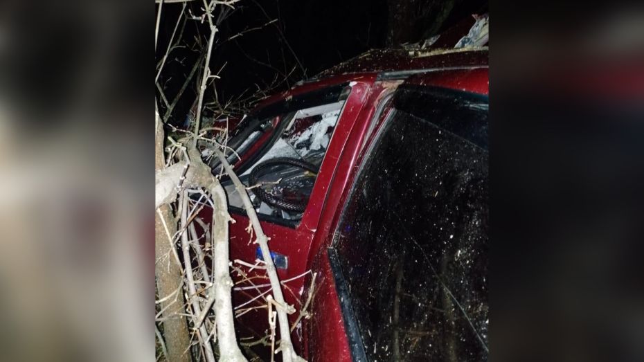 В Воронежской области в аварии с грузовиком погиб 38-летний водитель ВАЗ-21101