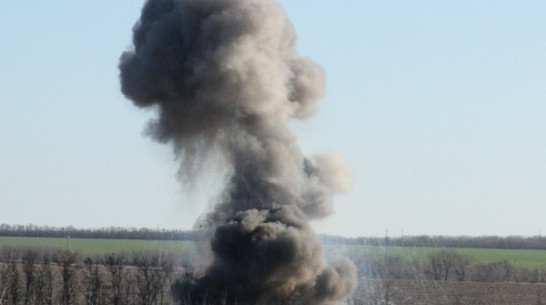 Немецкие снаряды со свастикой уничтожили в Богучарском районе 