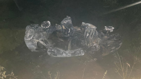 Под Воронежем «четверка» опрокинулась и загорелась: пострадали подростки