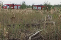 Класс пожарной опасности повысили в Воронежской области