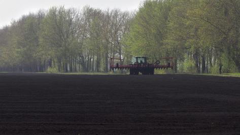 ГК «Продимекс» планирует увеличить посевные площади яровых зерновых и сои в 2023 году