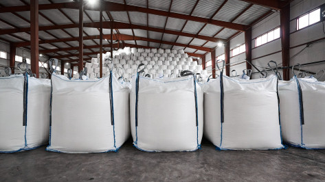 Рекордные 1,2 млн тонн сахара произвела ГК «Продимекс» по итогам сезона