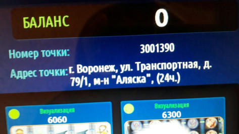 Полиция убрала игровой автомат после обращения воронежца
