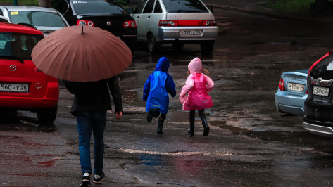 В Воронежской области ожидается два дня дождей и гроз