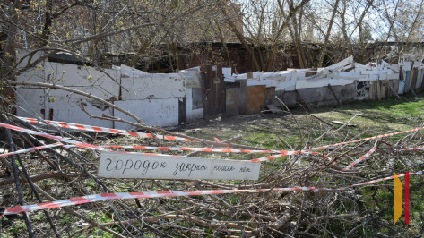 В воронежском райцентре через 10 лет ликвидировали «Кошачий Hilton»