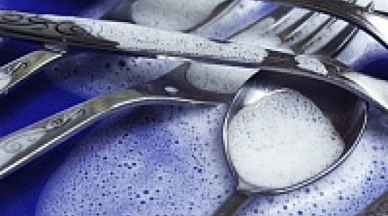 В Воронеже в семи кафе и ресторанах нашли нарушения санитарных норм