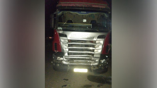 В Воронежской области фура въехала в микроавтобус: пострадали 2 человека