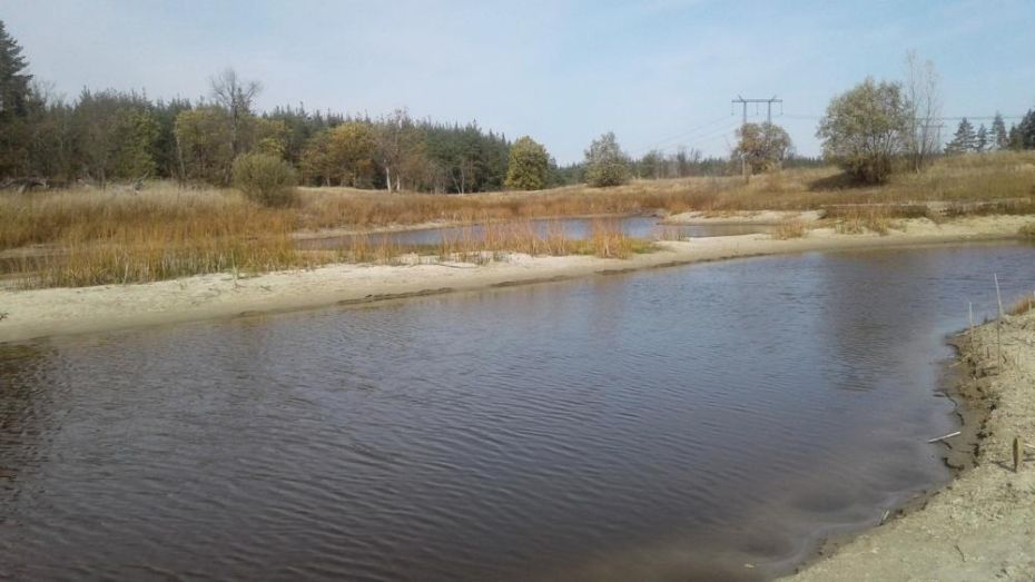 Заповедник в Воронежской области показал на фото обмелевшее озеро