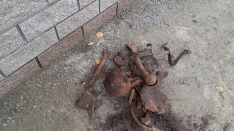 При прокладке водопровода в Воронеже нашли человеческие останки