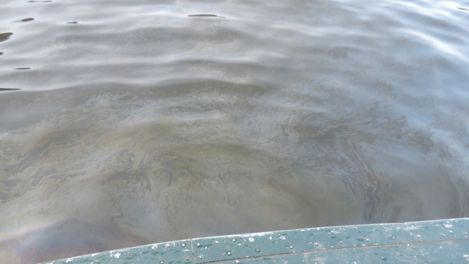 Нефтяное пятно площадью 7,5 тыс кв. м выявили на реке под Воронежем