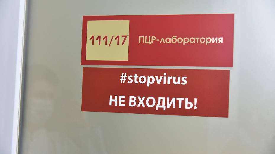 Более 4 млн ПЦР-тестов сделали в Воронежской области за время пандемии ковида