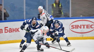 Воронежский «Буран» проиграл «Динамо» и выбыл из борьбы за Кубок Петрова