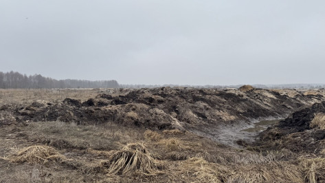 В Воронежской области работа тяжелой техники на Усманке привела к уголовному делу