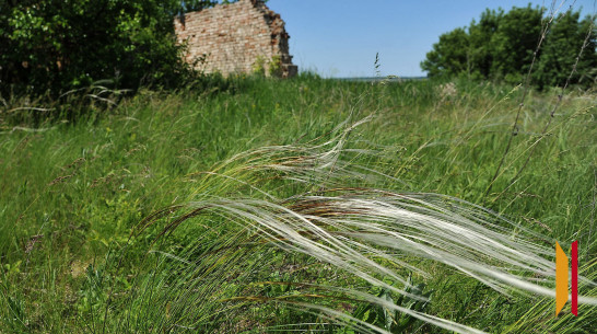 В Воронежской области создадут новый природный заказник