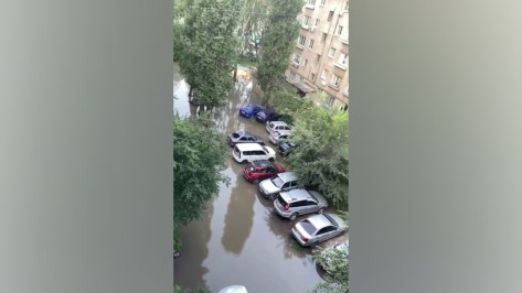 Воронежцы сообщили о ночном потопе на улице Щорса