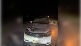 Под Воронежем автомобиль Daewoo насмерть сбил стоявшего на проезжей части пешехода