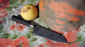 В Воронежской области отвергнутый мужчина изуродовал ножом бывшую пассию