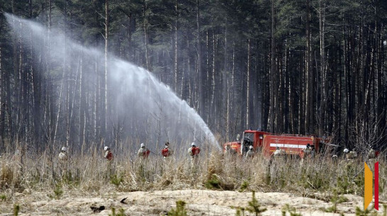Лесные пожары в Воронежской области могут начаться раньше срока