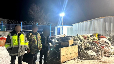 Иностранцы похитили 638 метров медного кабеля на стройке в аэропорту Воронежа