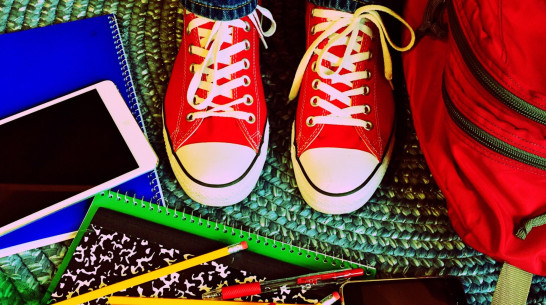 Жители Воронежа потратят на подготовку ребенка к школе в среднем 17 тыс рублей