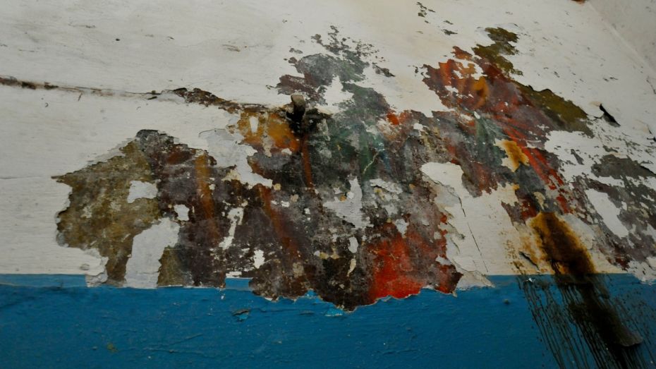 Воронежцы обнаружили старинную фреску в храме Рождества Христова на Придаче