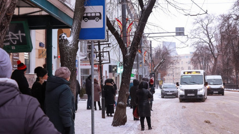 В мэрии Воронежа назвали перевозчиков, не выпустивших автобусы во время снегопада