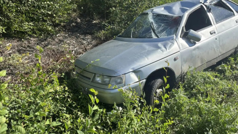 В Воронежской области водитель ВАЗ сбил косулю и попал в больницу