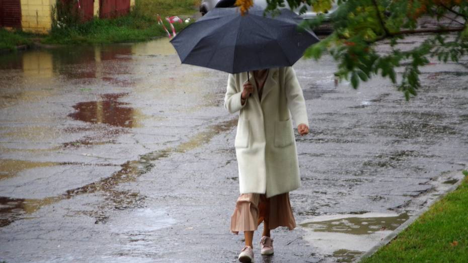 Дожди придут в Воронеж среди рабочей недели