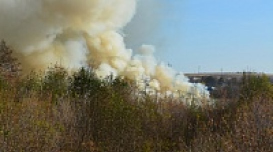 В Воробьевке выгорели камыш и трава по соседству в мостом