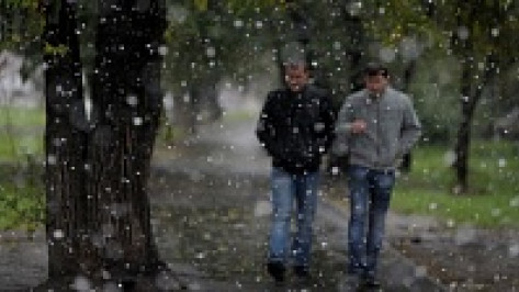 Спасатели предупредили воронежцев об октябрьском снегопаде