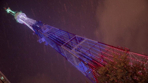 Триколор украсит воронежскую телебашню в День народного единства
