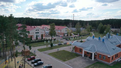 Самые красивые села Воронежской области поборются за 2 млн рублей