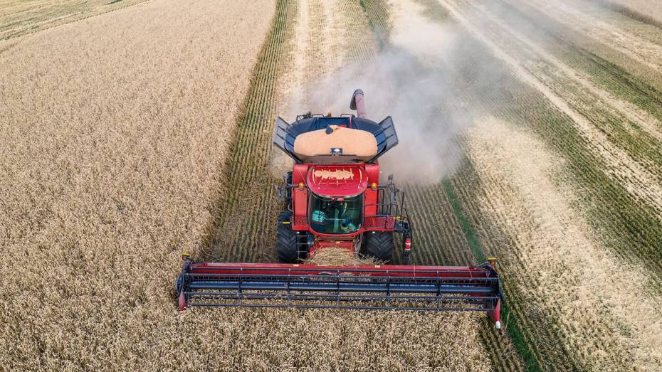 На предприятиях ГК «Продимекс» в Воронежской области стартовала кампания по уборке зерновых