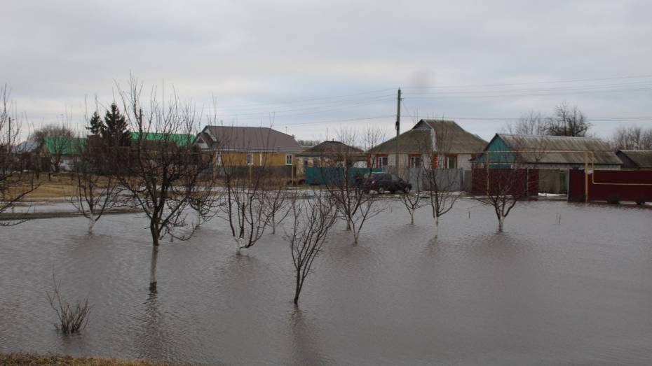 Администрация Ольховатского городского поселения Воронежской области создала комиссию по оценке ущерба от затопления