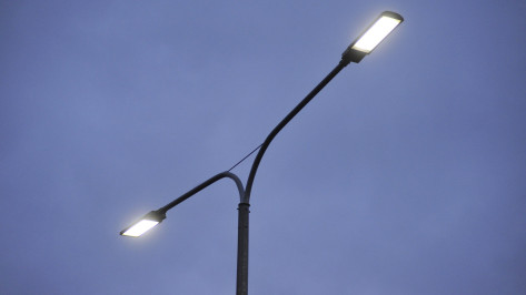 Почти 1,4 тыс новых светильников установят в воронежских селах до конца года
